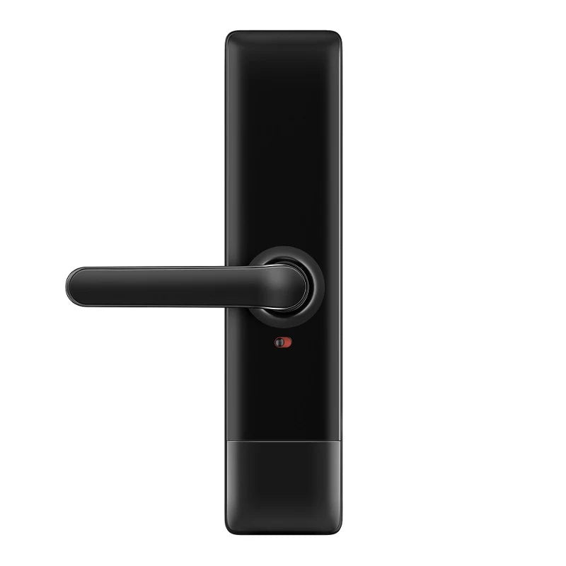 Winstyn Fingerprint and Keyless Entry Mortise Lock